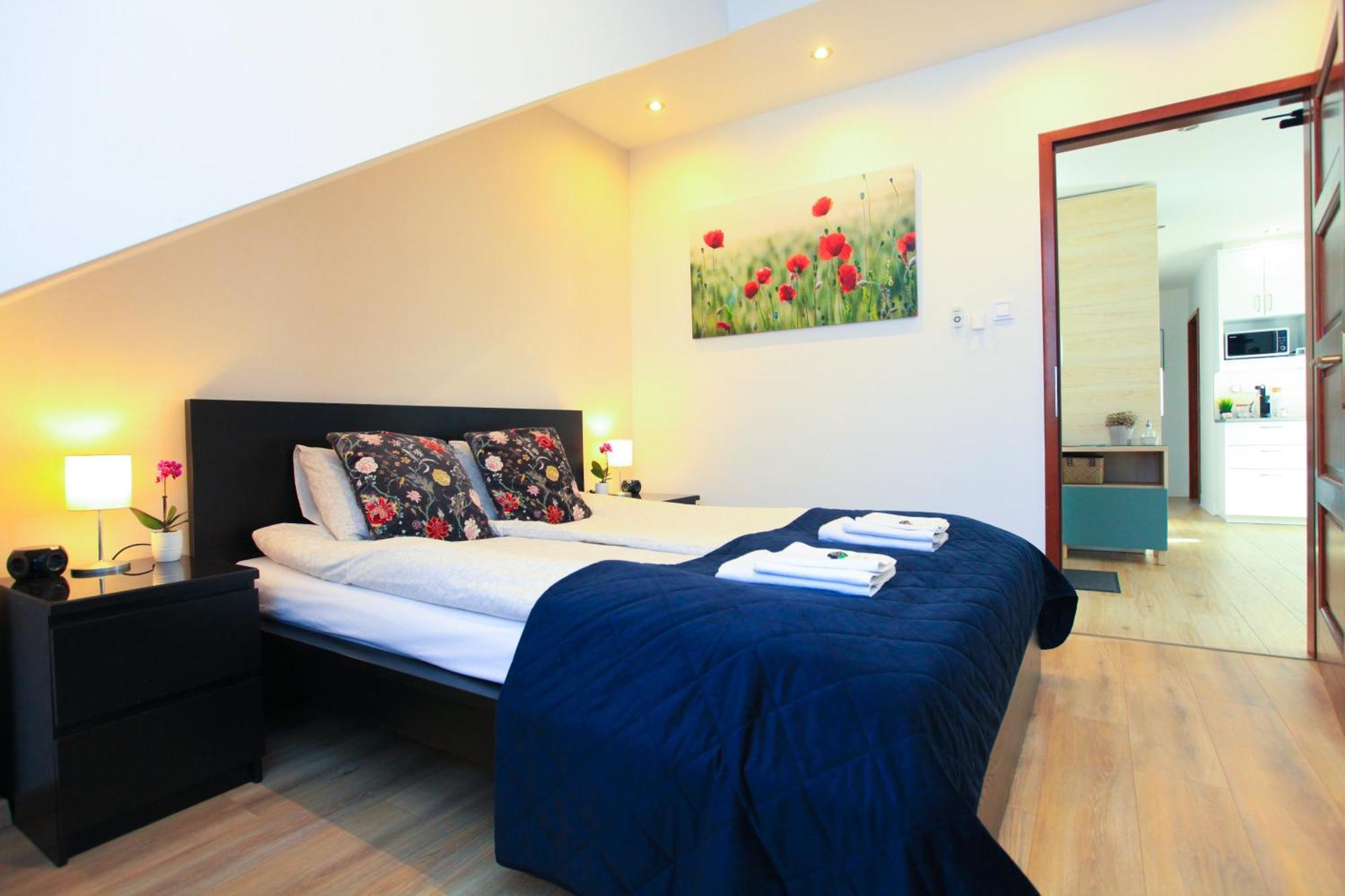 Paskal-Lux Apartments With Free Parking And Ac 부다페스트 외부 사진